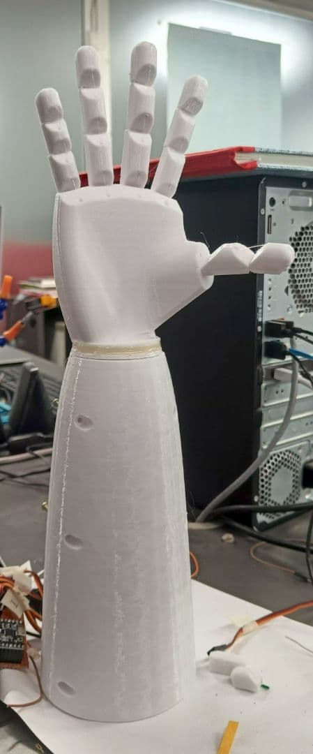 Bionic Hand